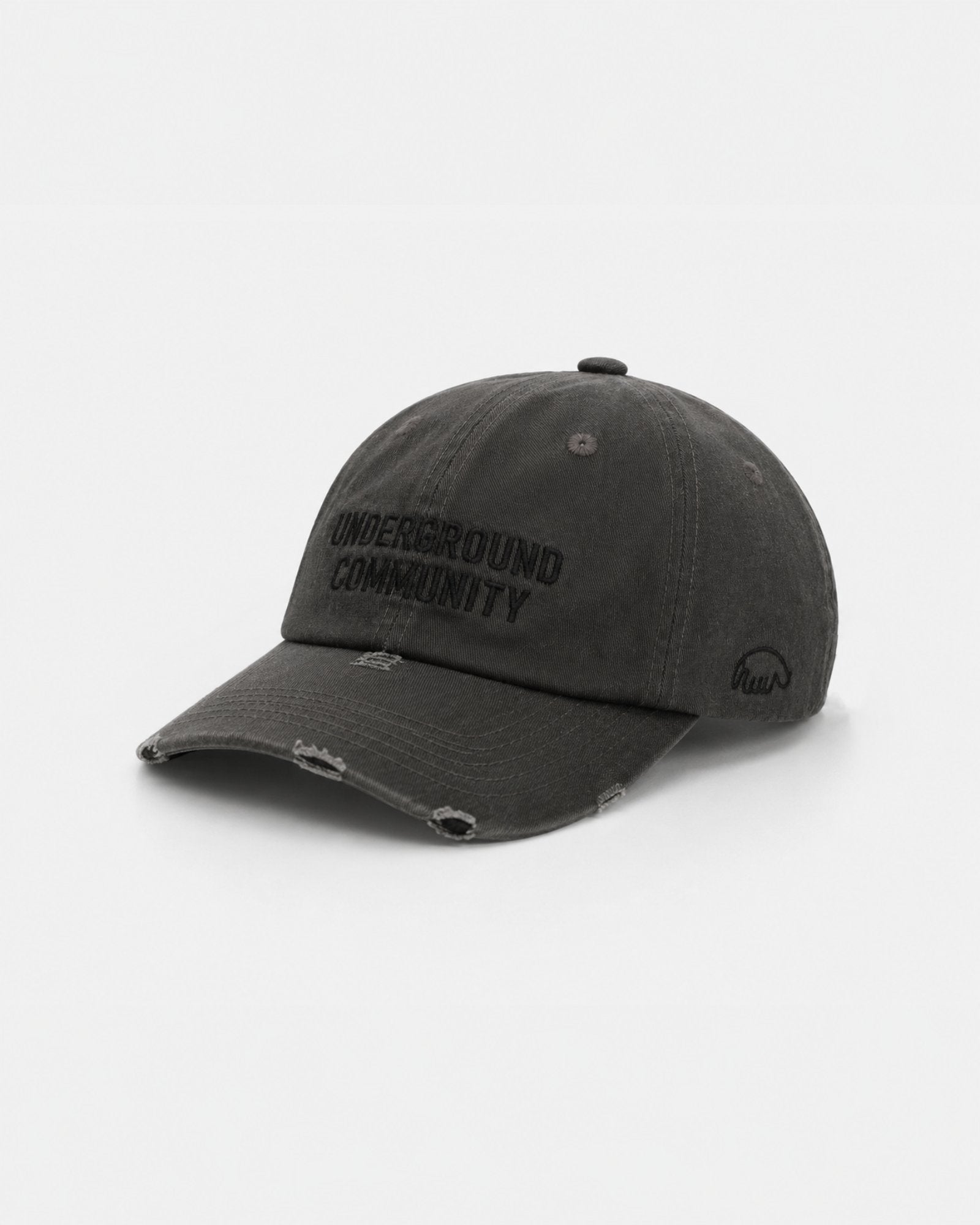 Anteater 6 Panel Cap