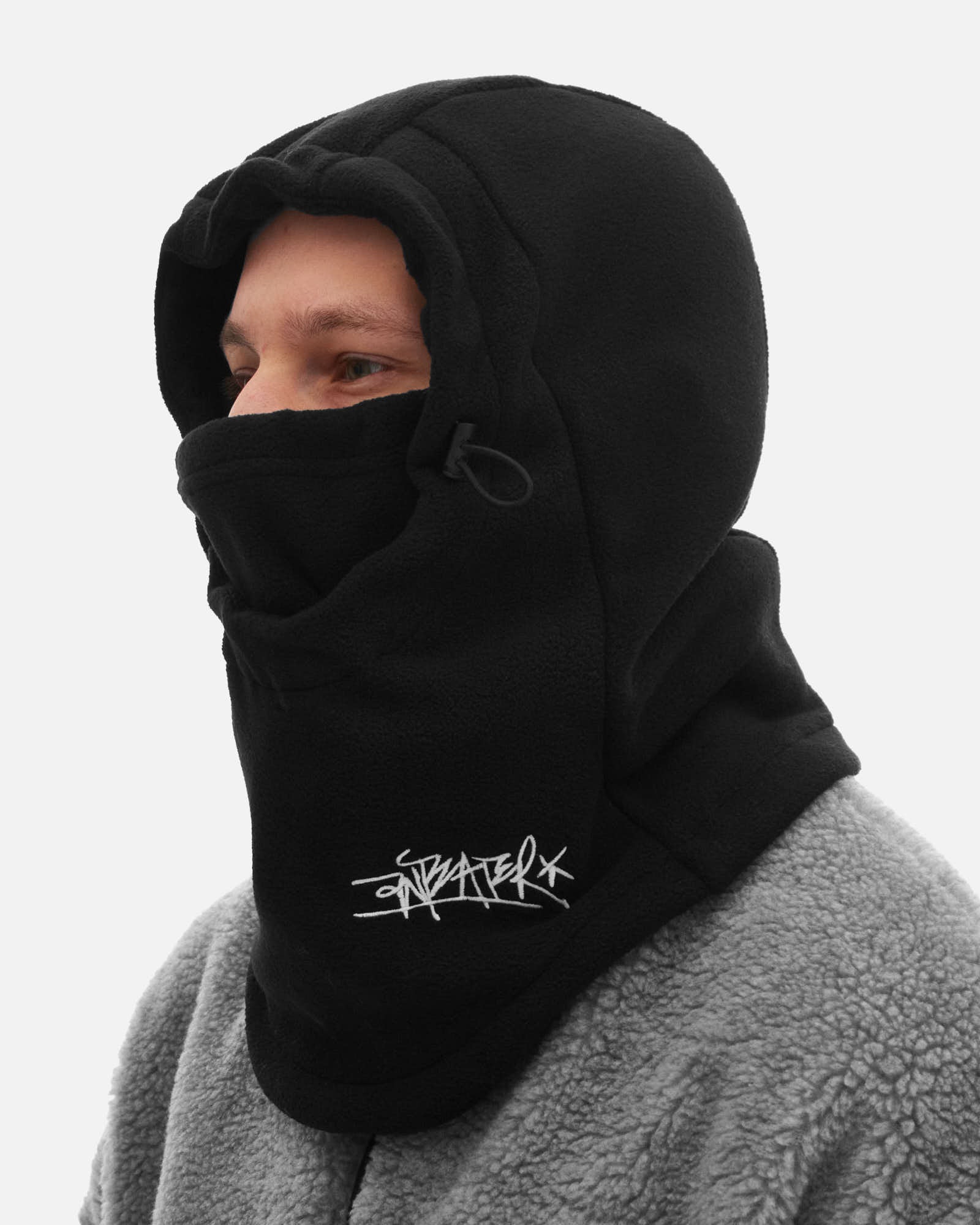 Anteater Mask