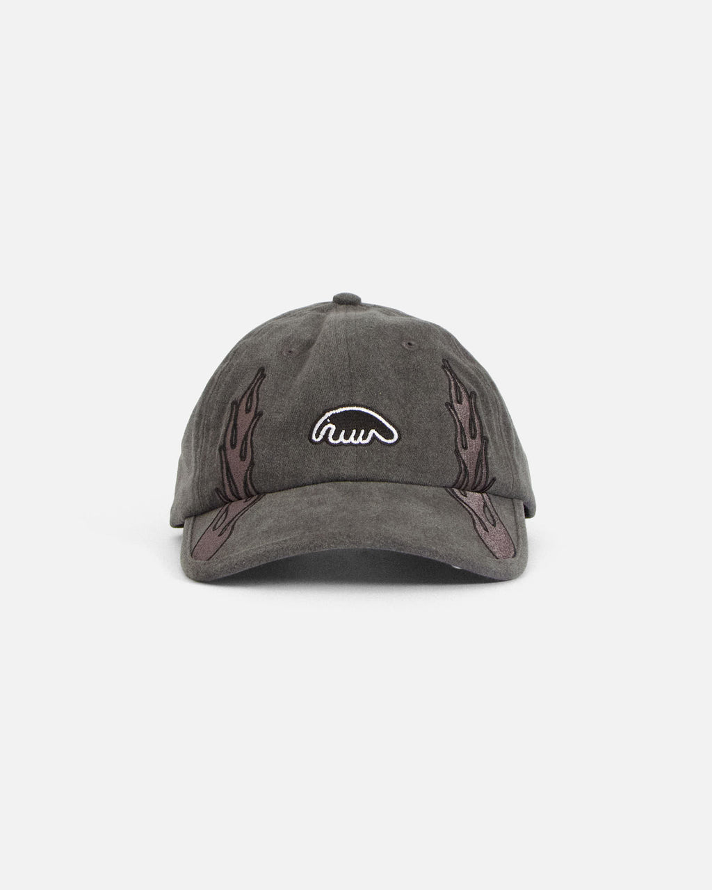 Anteater 6 Panel Cap