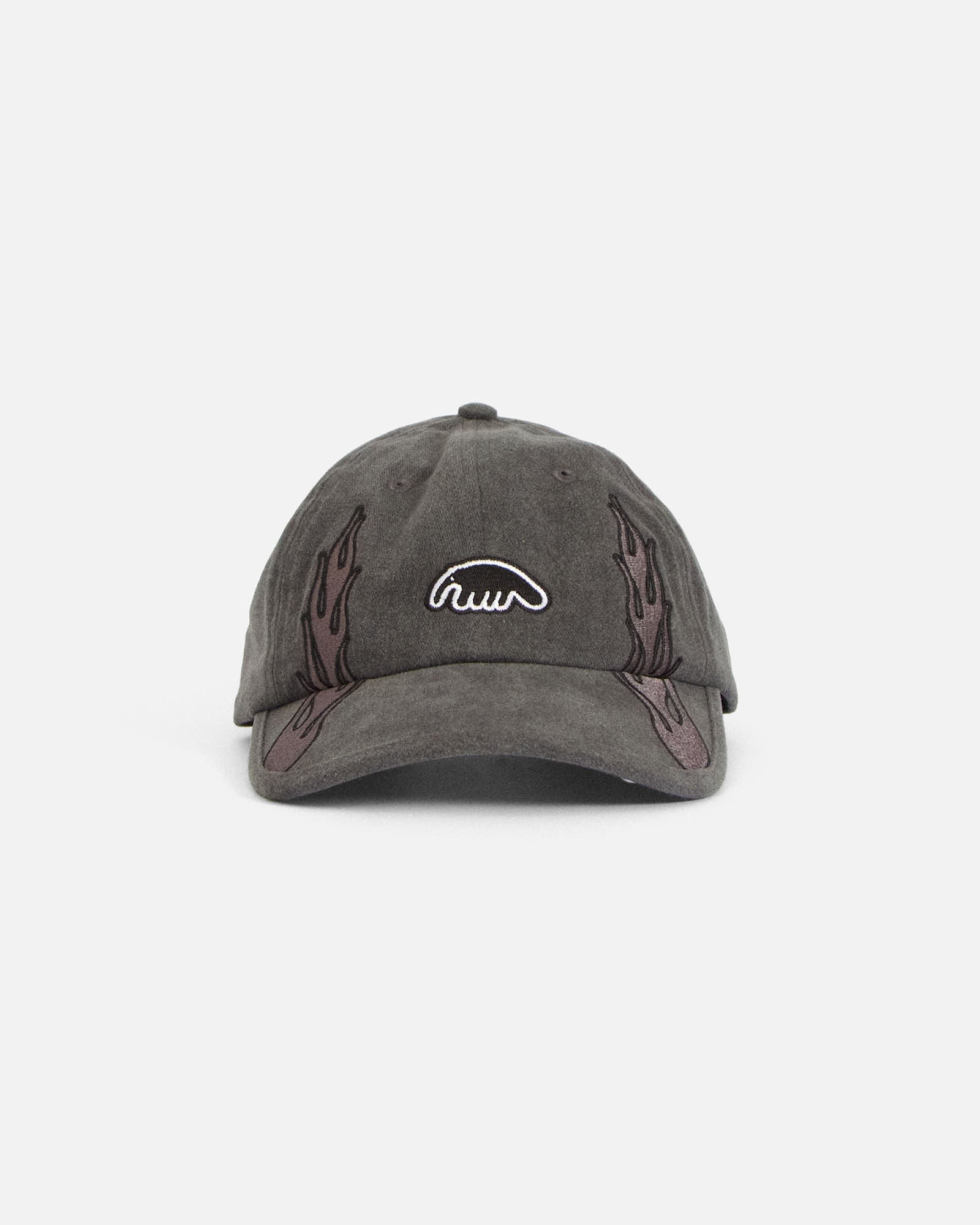 Anteater 6 Panel Cap