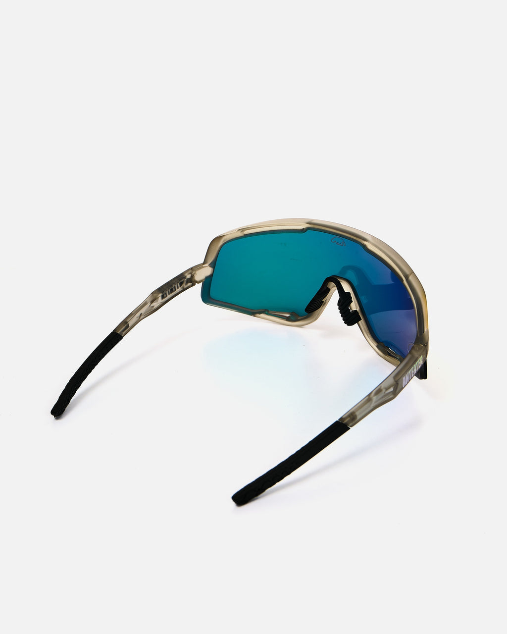 Anteater High Vision
