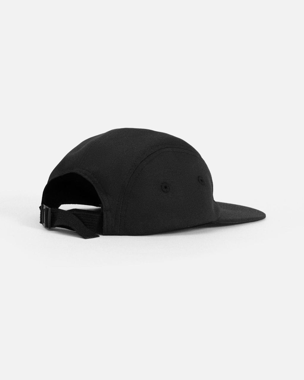 Anteater 5 Panel Cap