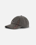 Anteater 6 Panel Cap