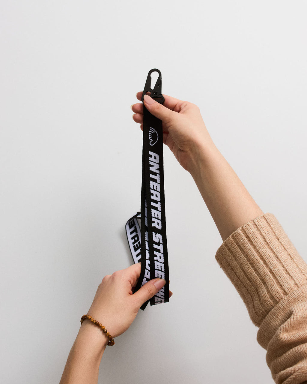 Anteater Lanyard