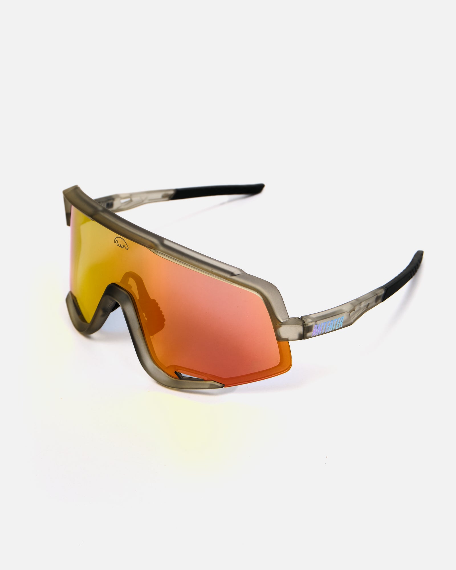 Anteater High Vision